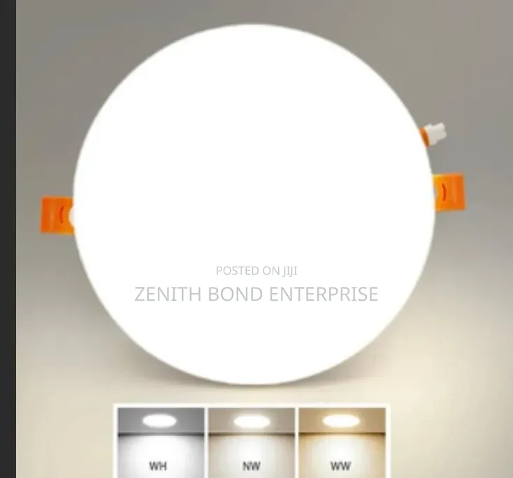 Framless Recessed Light