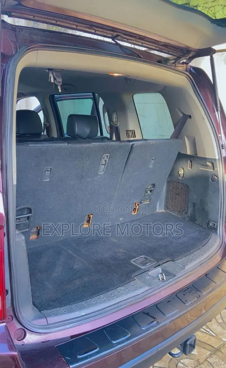Honda Pilot 2009 Brown