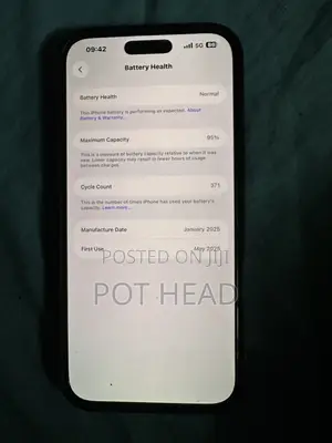 Apple iPhone 16 Pro Max 256 GB Rose Gold