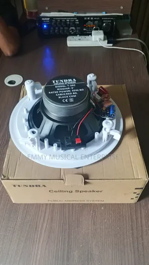 Passive Ceiling/Pop Speaker