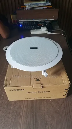Passive Ceiling/Pop Speaker