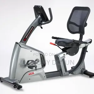 Semi-Commercial Recumbent Exercise Bike With a Mesh Backrest and LCD