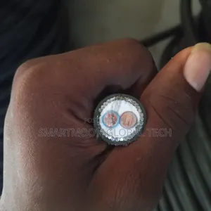 16mm 2core Armoured Cable