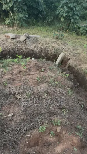 Land Property