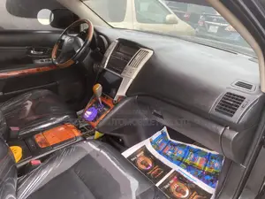 Lexus RX 330 2005 Gray