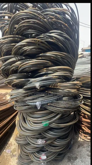 10mm Tmt Lion Iron Rods