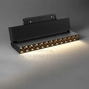 Magnetic Track Light