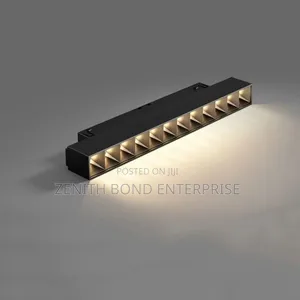 Magnetic Track Light