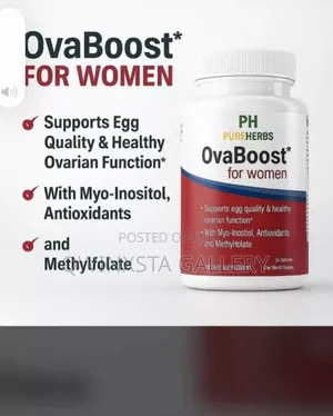 Supplement