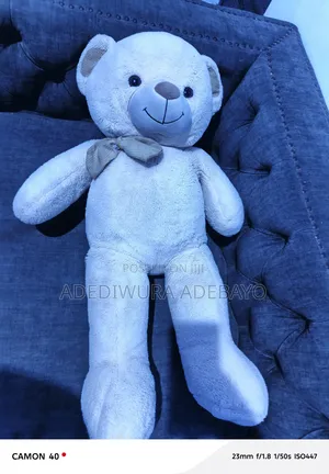 Original and Lasting Teddy Bear