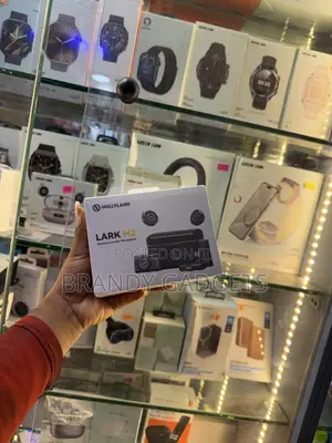 Brand New Hollyland Lark M2 Wireless Mic