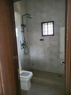 4bdrm Duplex in Asokoro for rent