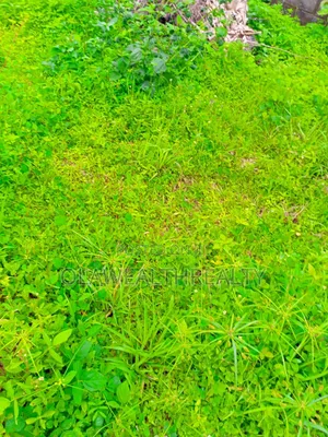 13.39 Hectares Mixed-Use Comprehensive Development Land at Karsana