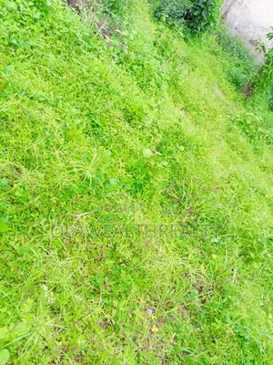 50 Hectares Mixed-Use Land at Guzape 2