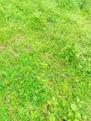 850sqm Duplex Plot at Guzape