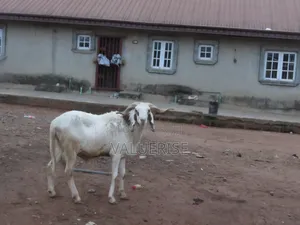 Ileya Ram Promo