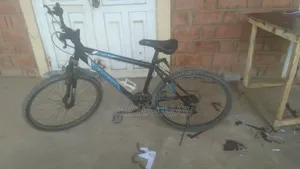 Bicycle For Adults