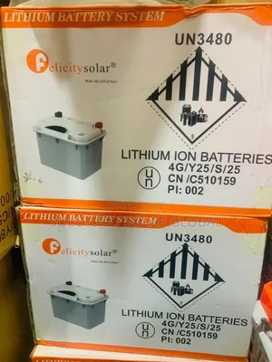 Fla12100 Felicity Lithium Ion Batteries
