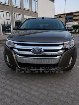 Ford Edge 2013 Gray