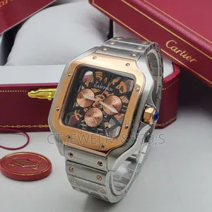 Luxury Inspired Santos Skeleton Watch Two Tone, Steel Strap, Quality