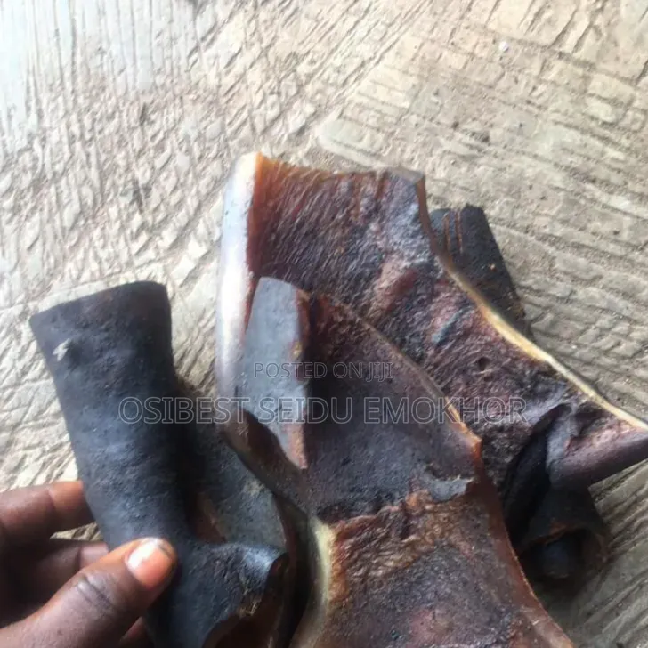 Dried Ponmo