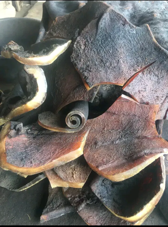 Dried Ponmo