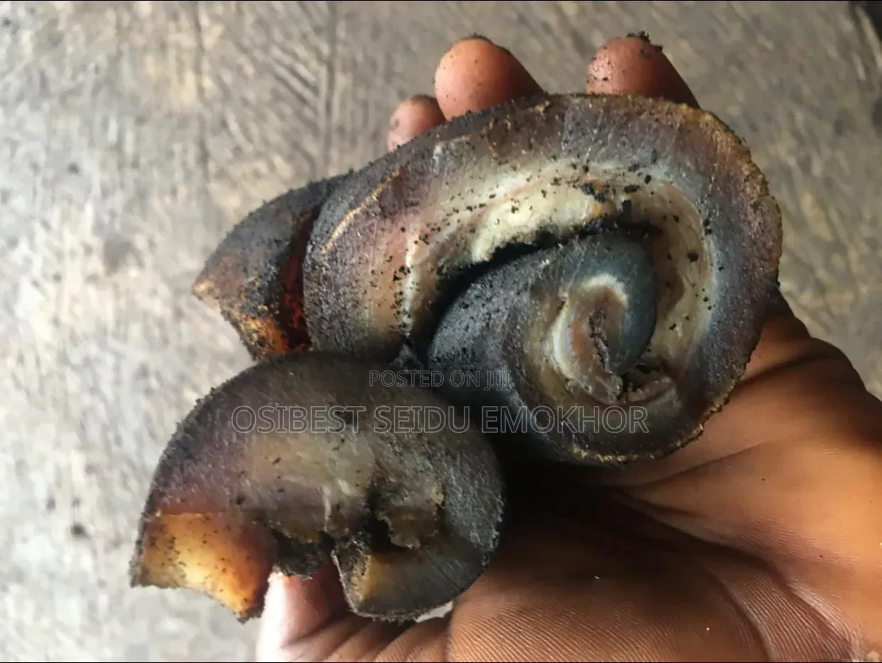 Dried Ponmo