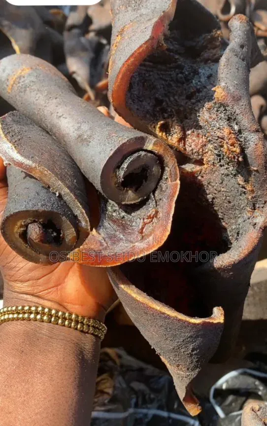 Dried Ponmo