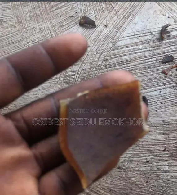 Dried Ponmo