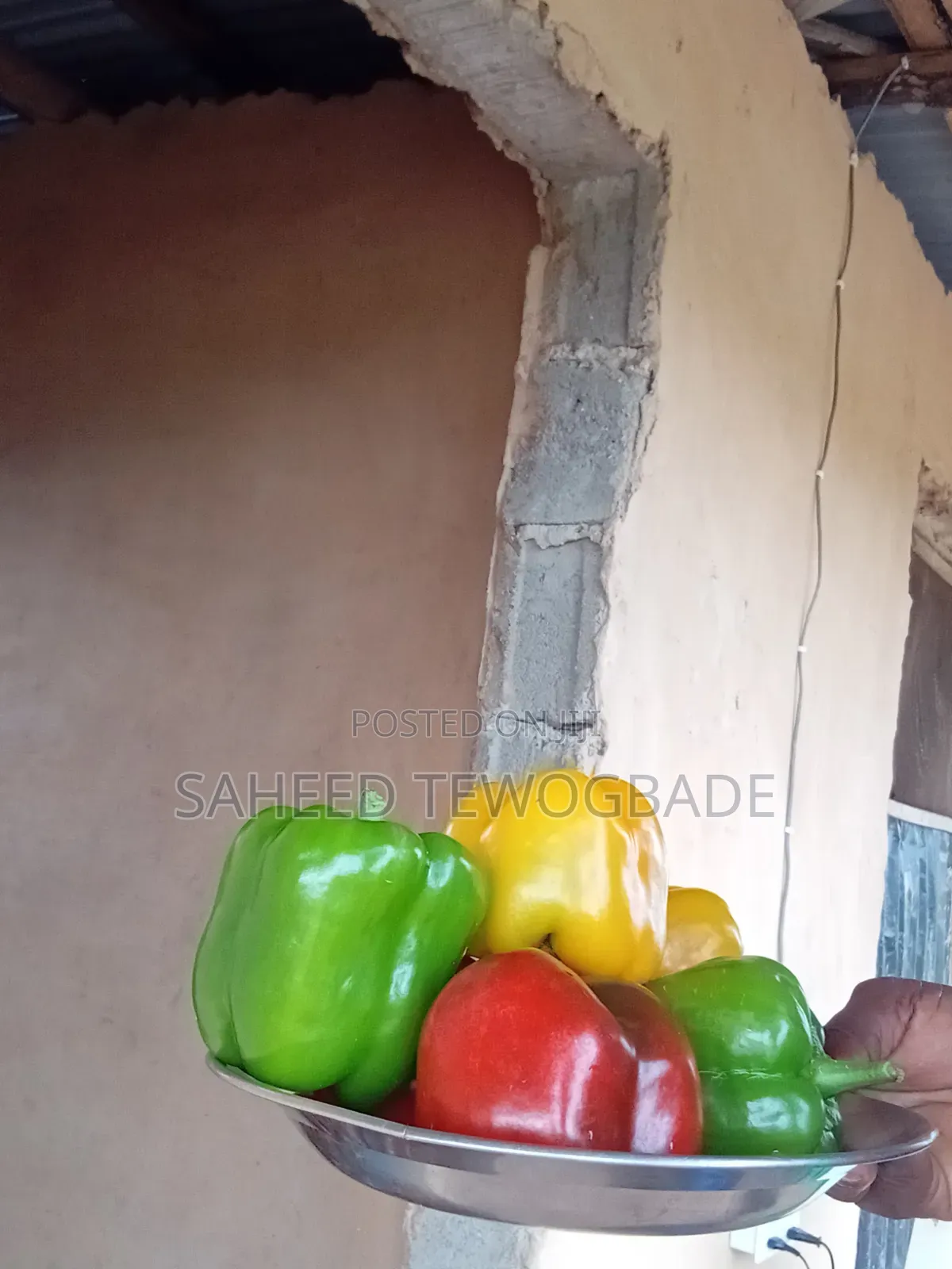 Sweet Bell Pepper