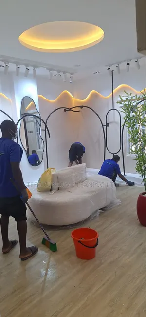 Professional Cleaning and Fumigation Services