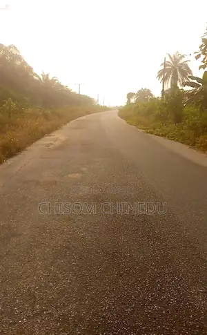 25 Plots of Land for Sale After Abam‎. Oyigbo Lga