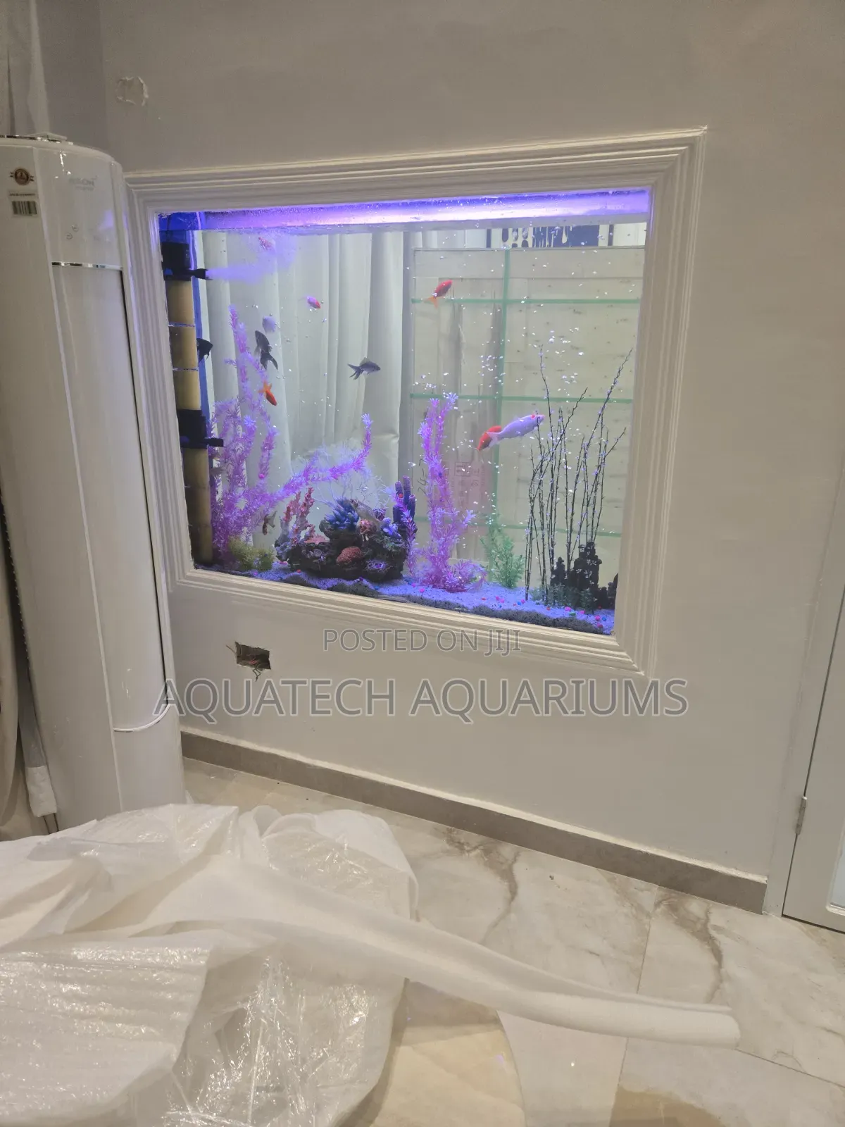 Wall Aquarium
