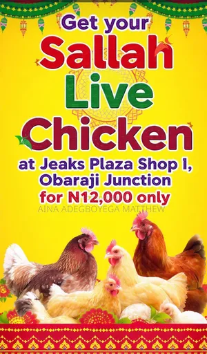 Get Your Sallah Chicken