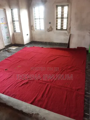 Red Carpet Rug