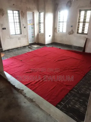 Red Carpet Rug