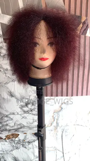 Beautiful Coco Wig