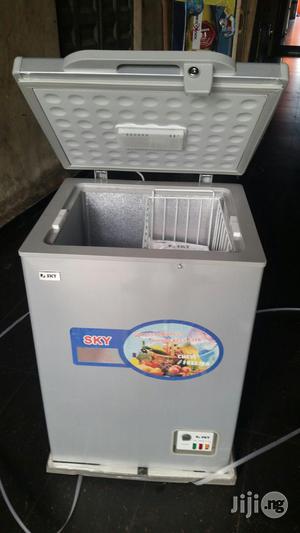 Sky Deep Freezer ( Model 150L )
