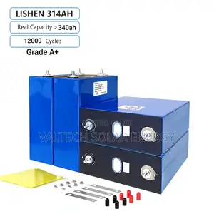 Brand New Grade a Lishen 314ah 3.2v Lifepo4 Lithium Battery Cells