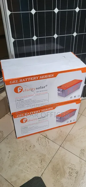 Long Lasting and Effective Dry Cell Battery Felicity