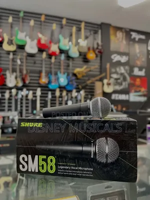 Shure Sm58