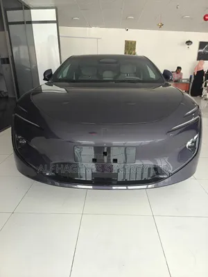 New Avatr 12 2025 Gray