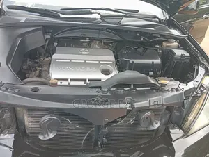 Lexus RX 330 2005 Black