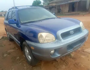 Hyundai Santa Fe 2004 Blue