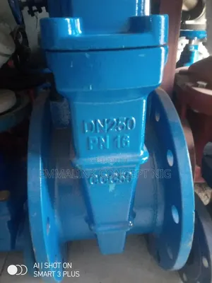 12" Gate Valve Dn 250