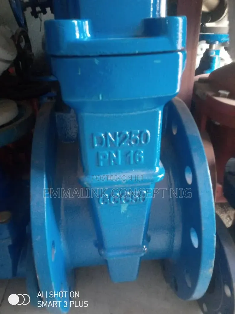 12" Gate Valve Dn 250