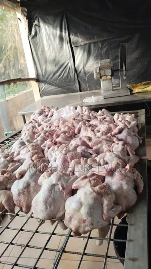 Fresh Processed Broiler Chickens - Whole Dressed | Lagos Delivery.