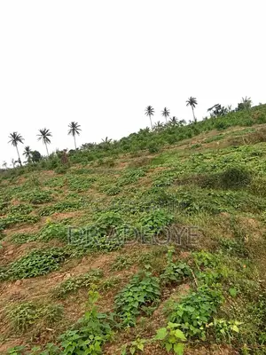 15 Acres Prime Land for Sale – Aregbesola, Akinyele (Ibadan)