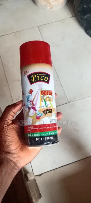 Spray Paint in Can Available