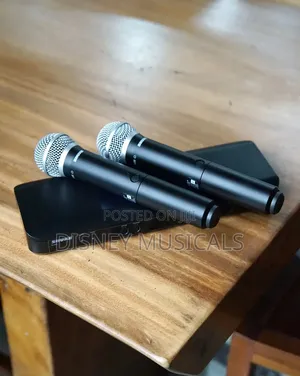Shure Blx288/Sm58